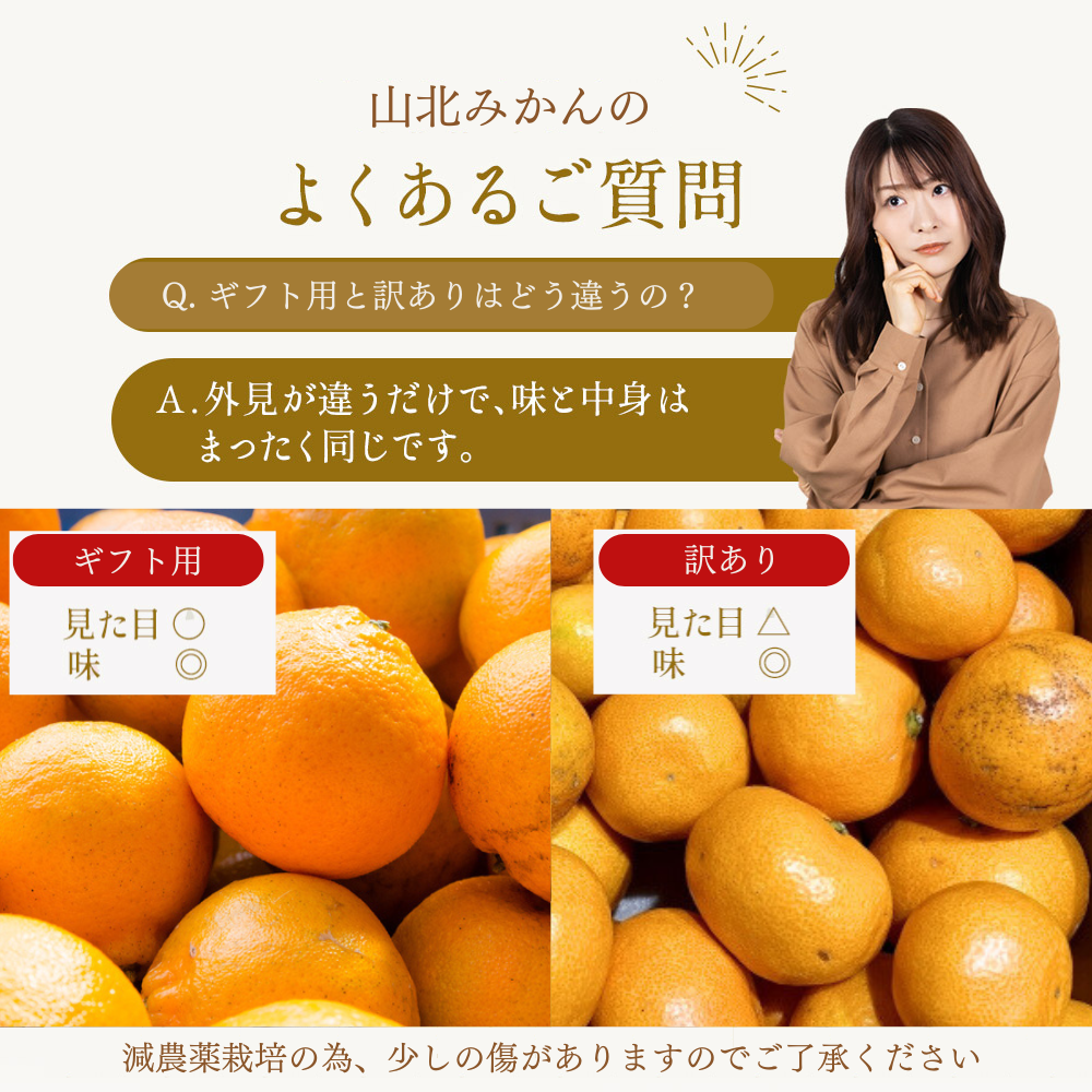 \11月発送予約/ 山北みかん 減農薬 優品 サイズ混合