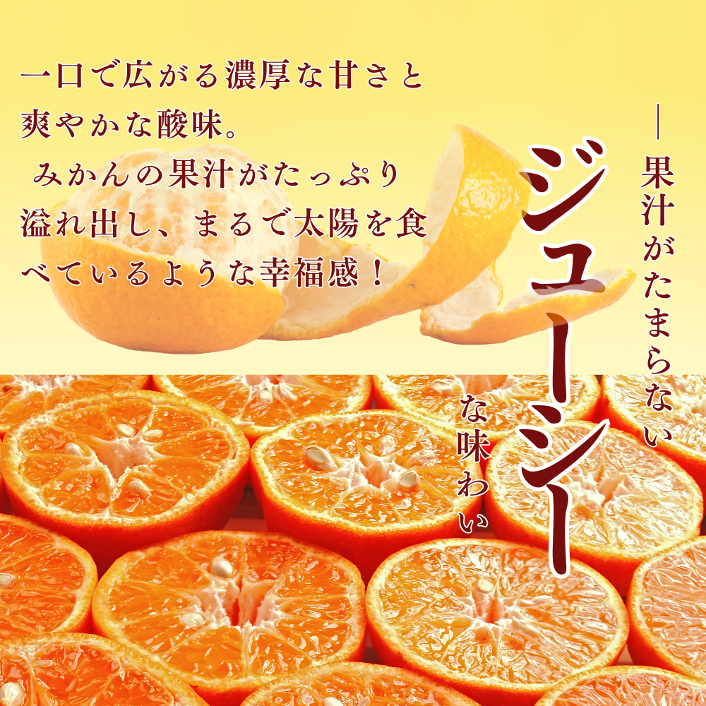 \11月発送予約/ 山北みかん 減農薬 訳あり サイズ混合