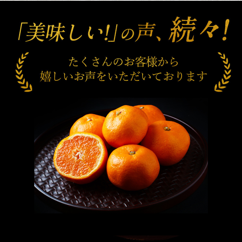 \11月発送予約/ 山北みかん 減農薬 優品 サイズ混合