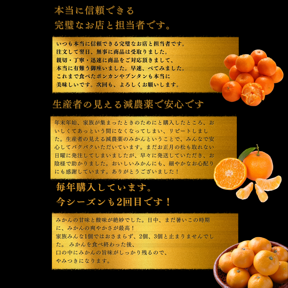 \11月発送予約/ 山北みかん 減農薬 優品 サイズ混合