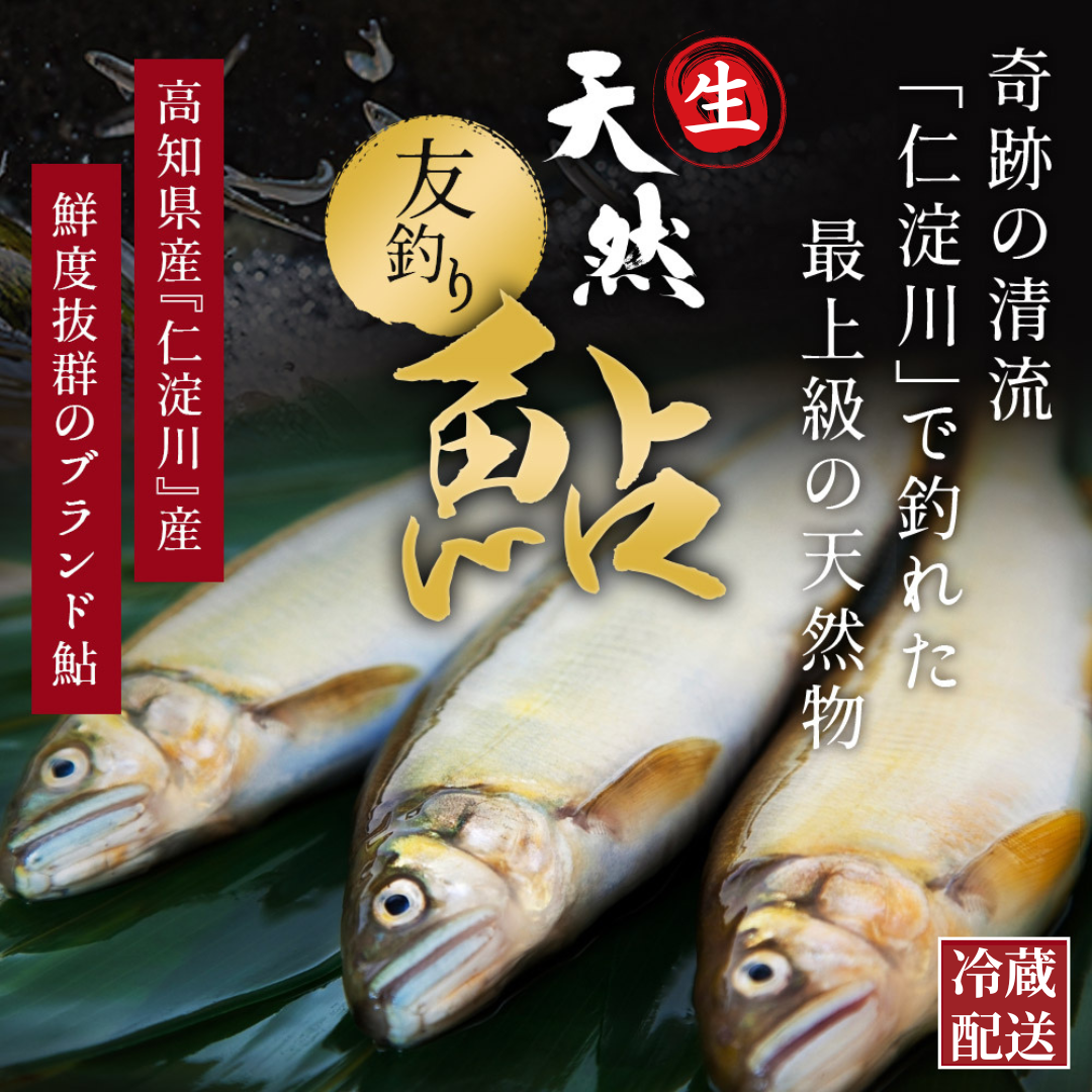 冷凍していない生鮎 高知県 仁淀川 天然鮎