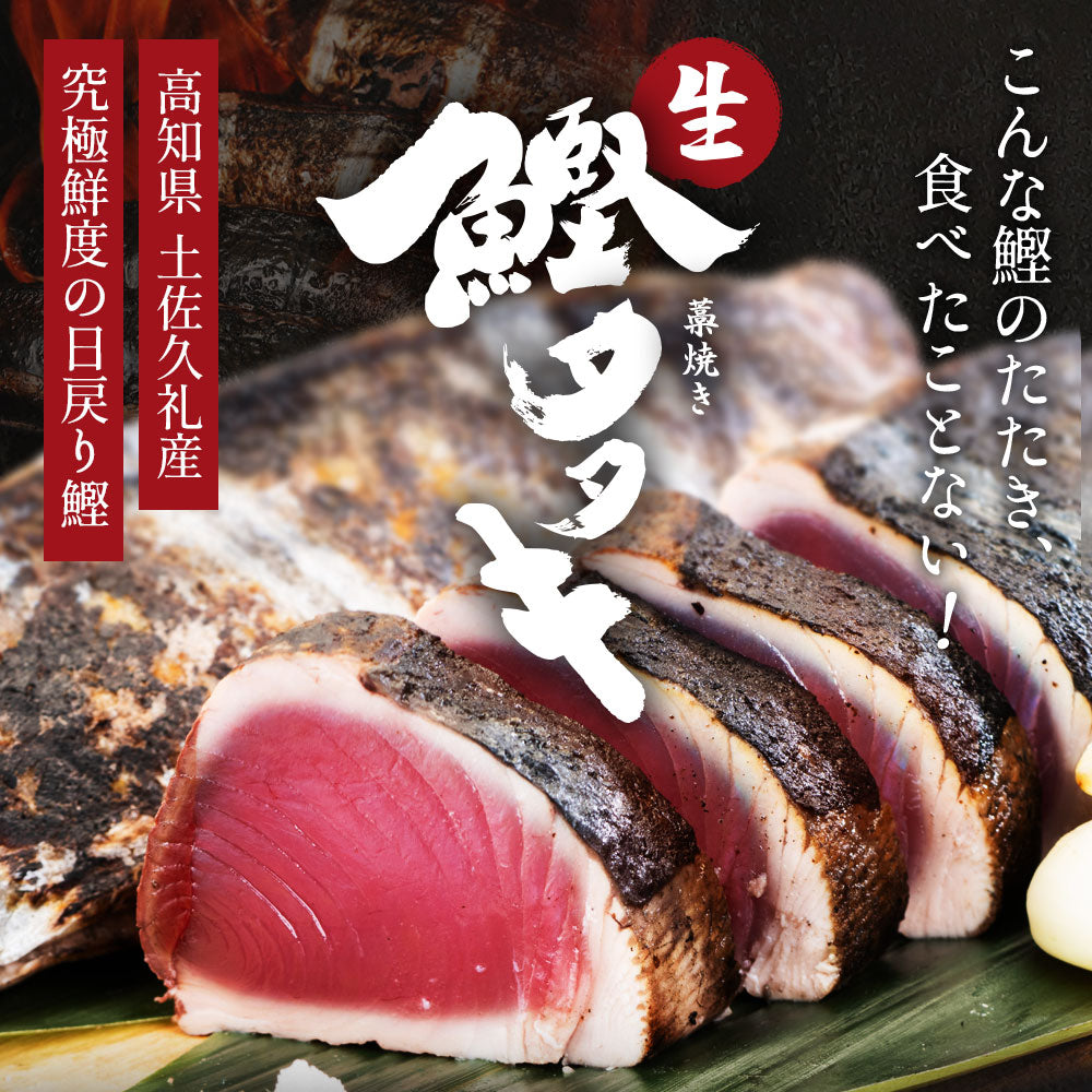 冷凍していない生鰹 土佐久礼 完全藁焼き生鰹たたき 1.5kg(2〜7節)12人前