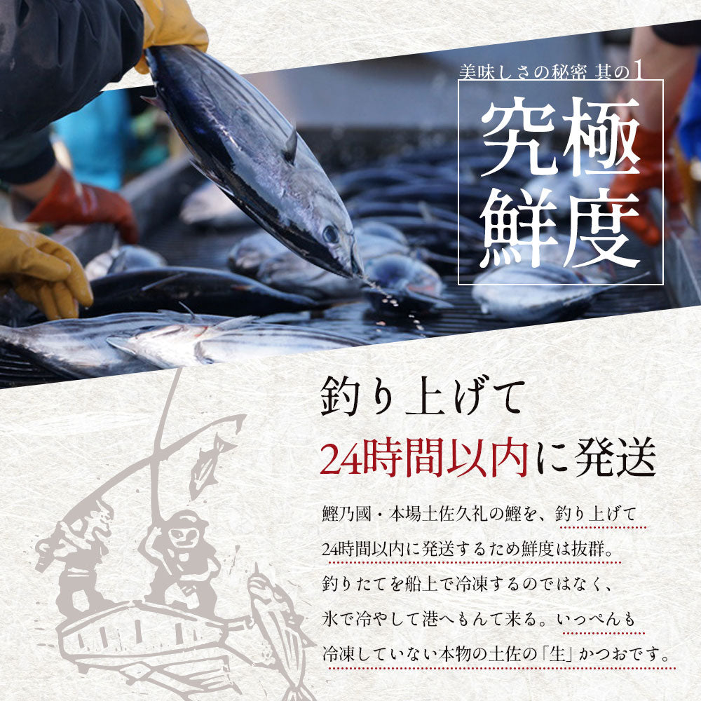 冷凍していない生鰹 土佐久礼 完全藁焼き生鰹たたき 1.2kg(2〜5節)10人前