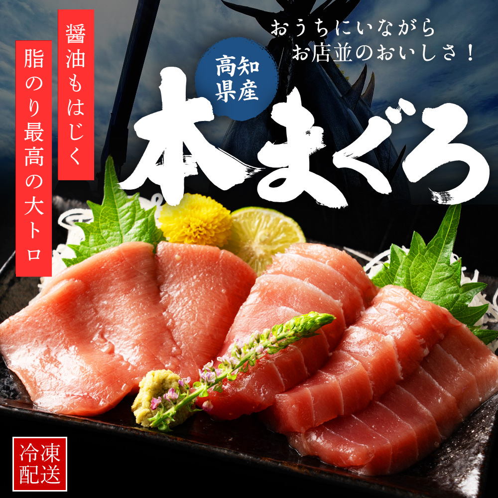 高知県産 一極 本まぐろ 大トロセット