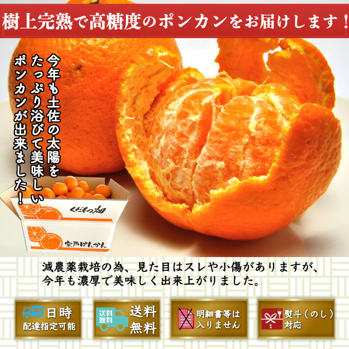 減農薬 完熟ぽんかん 訳あり品