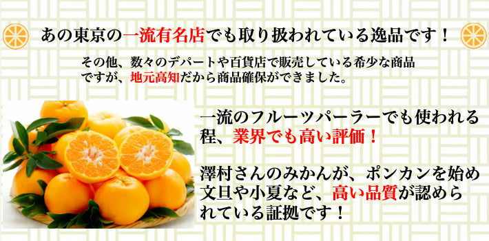 減農薬 完熟ぽんかん 贈答・家庭用