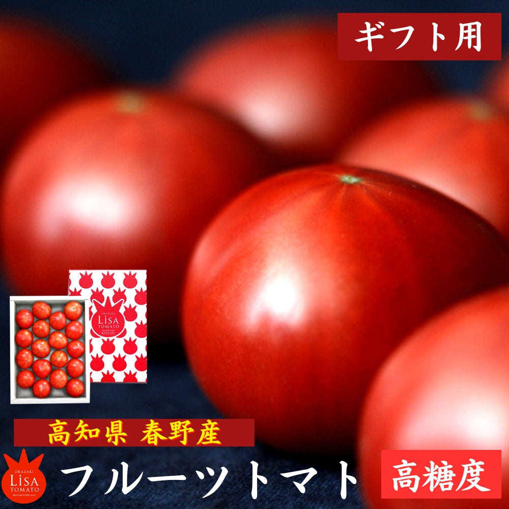 高知県春野産 高濃度 フルーツトマト 約1kg ギフト用