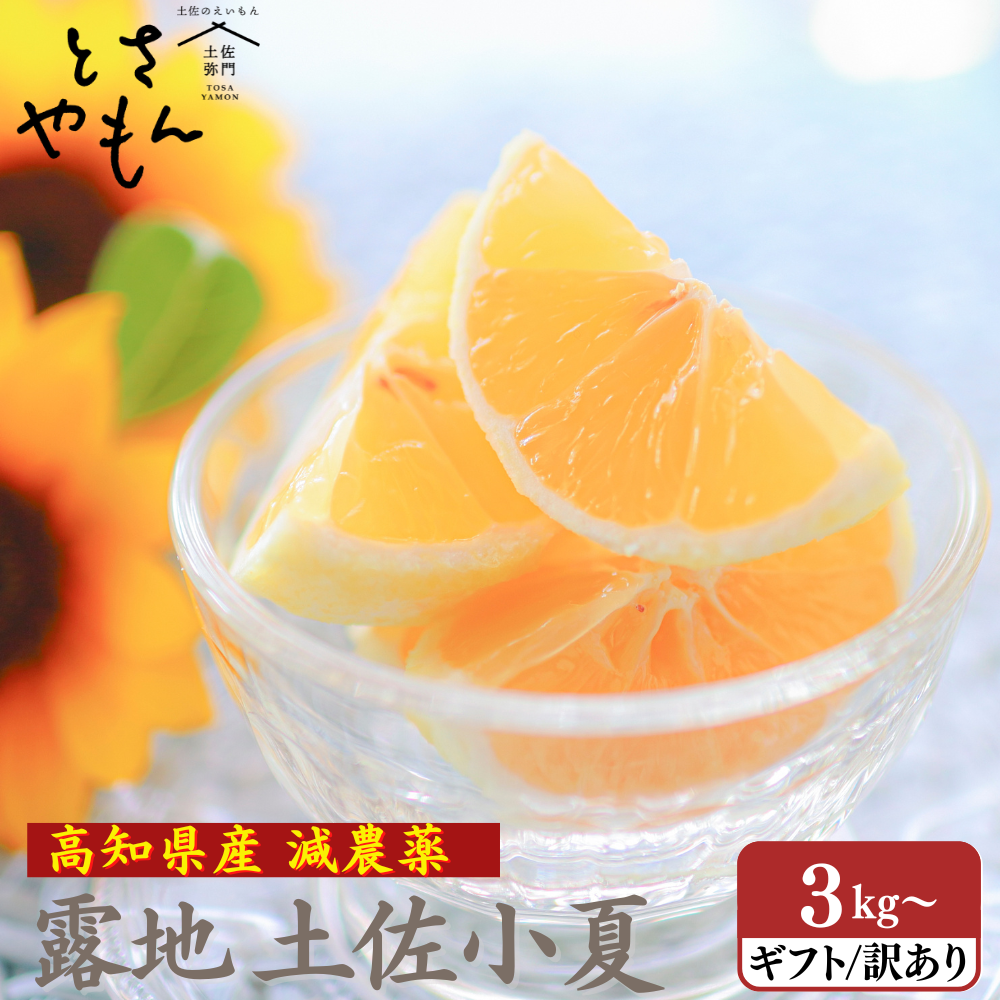 糖度14度 減農薬 露地 土佐小夏(3kg/5kg/7kg)(ギフト用/家庭用訳あり)