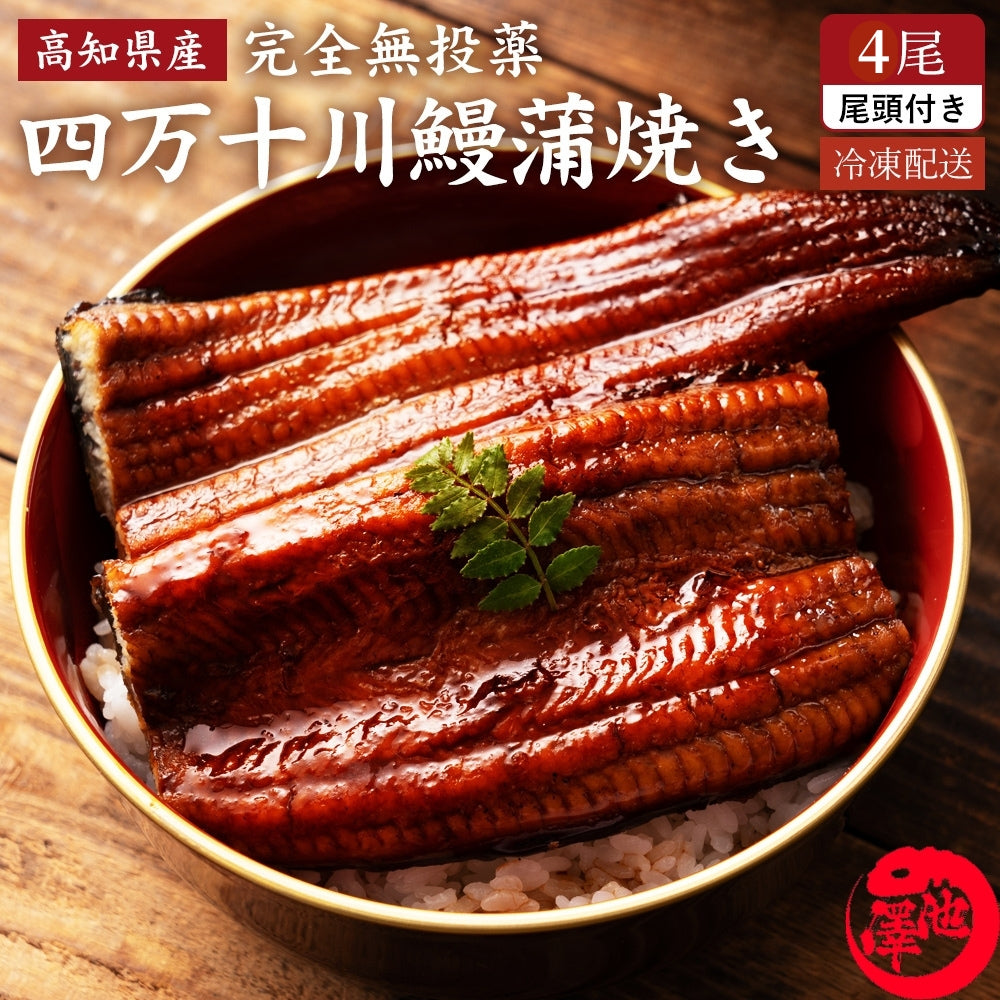 四万十川産 うなぎ蒲焼き 4尾 無投薬 国産 四万十鰻