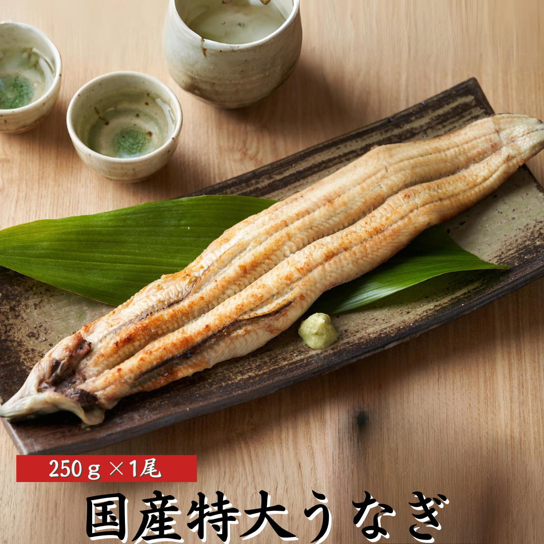 国産 うなぎ 超特大 白焼き 250g×1尾