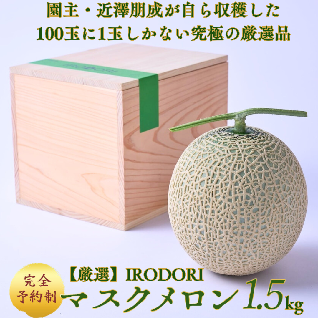 【特選】IRODORI 近澤さんの最高級緑肉メロン 1玉