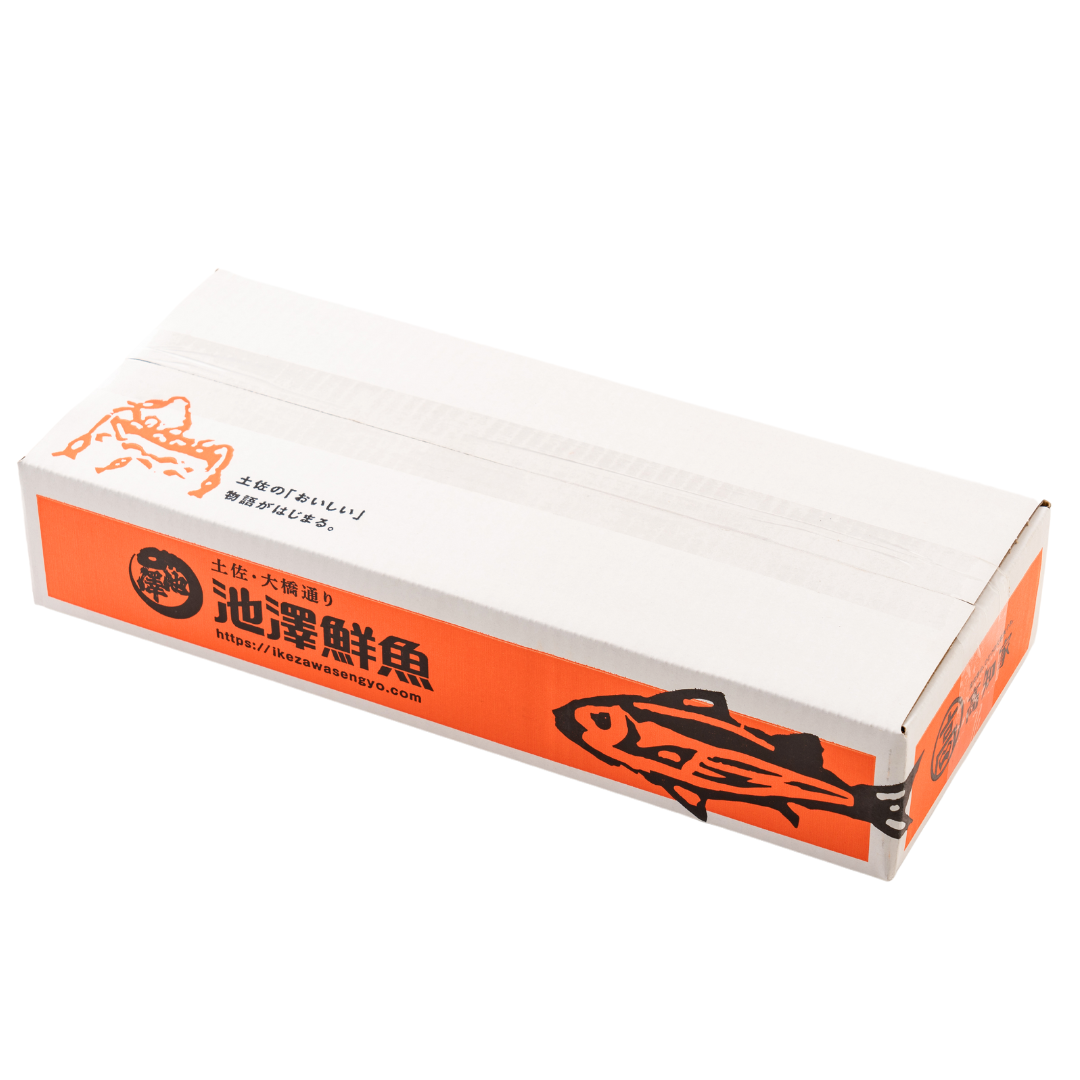 ヒオウギ貝 (長太郎貝)