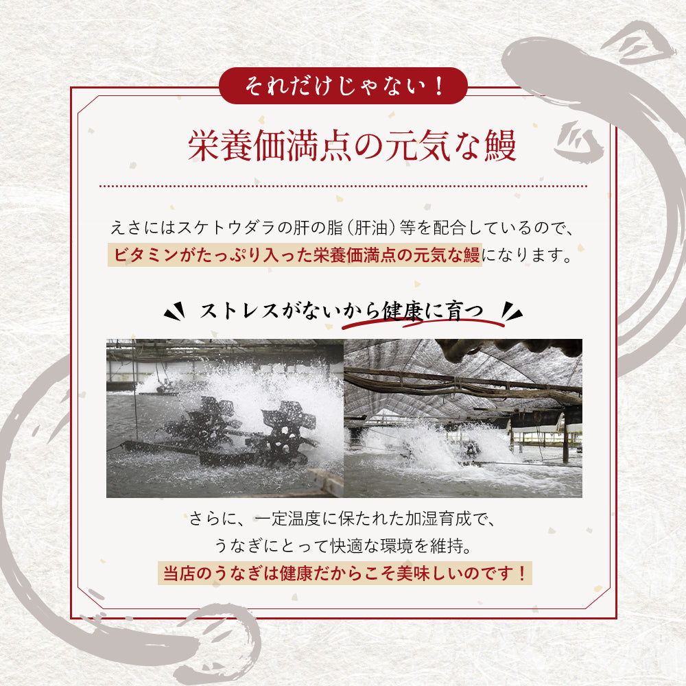 四万十川産 うなぎ蒲焼き 4尾 無投薬 国産 四万十鰻