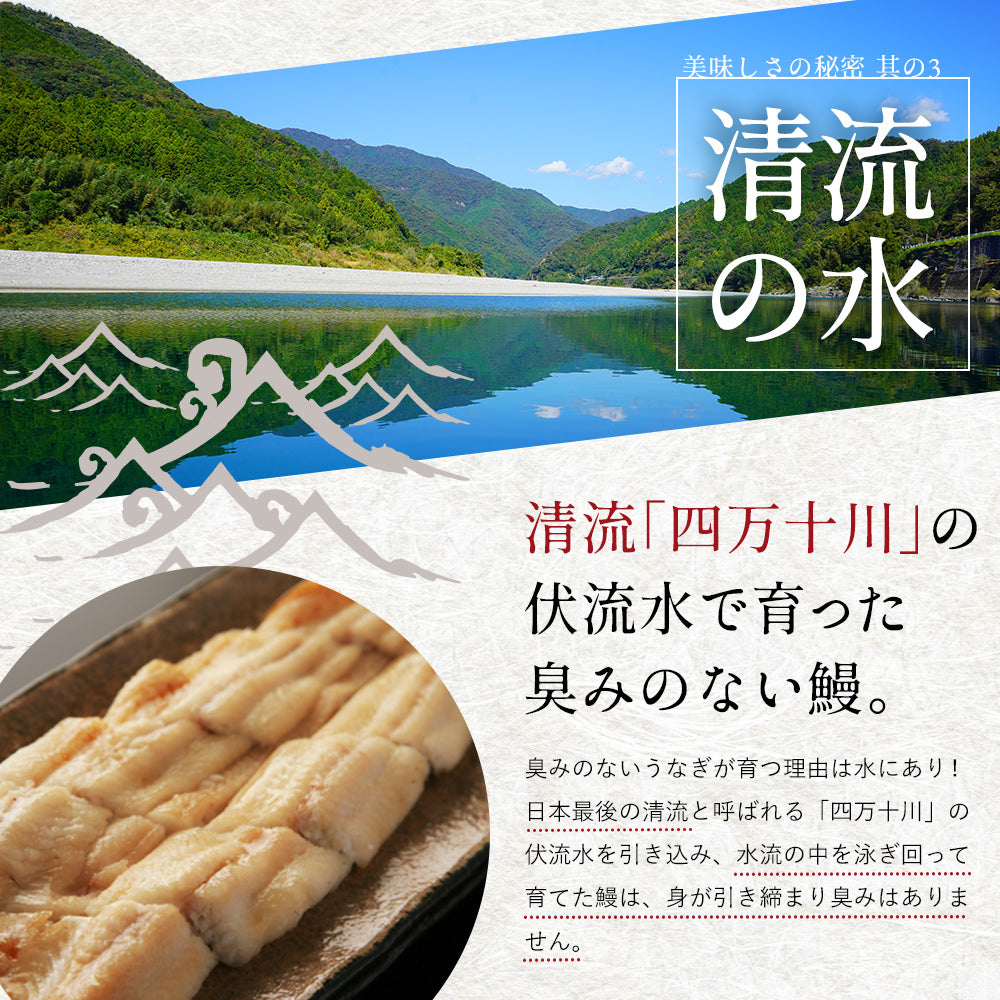 四万十川産 うなぎ蒲焼き 4尾 無投薬 国産 四万十鰻