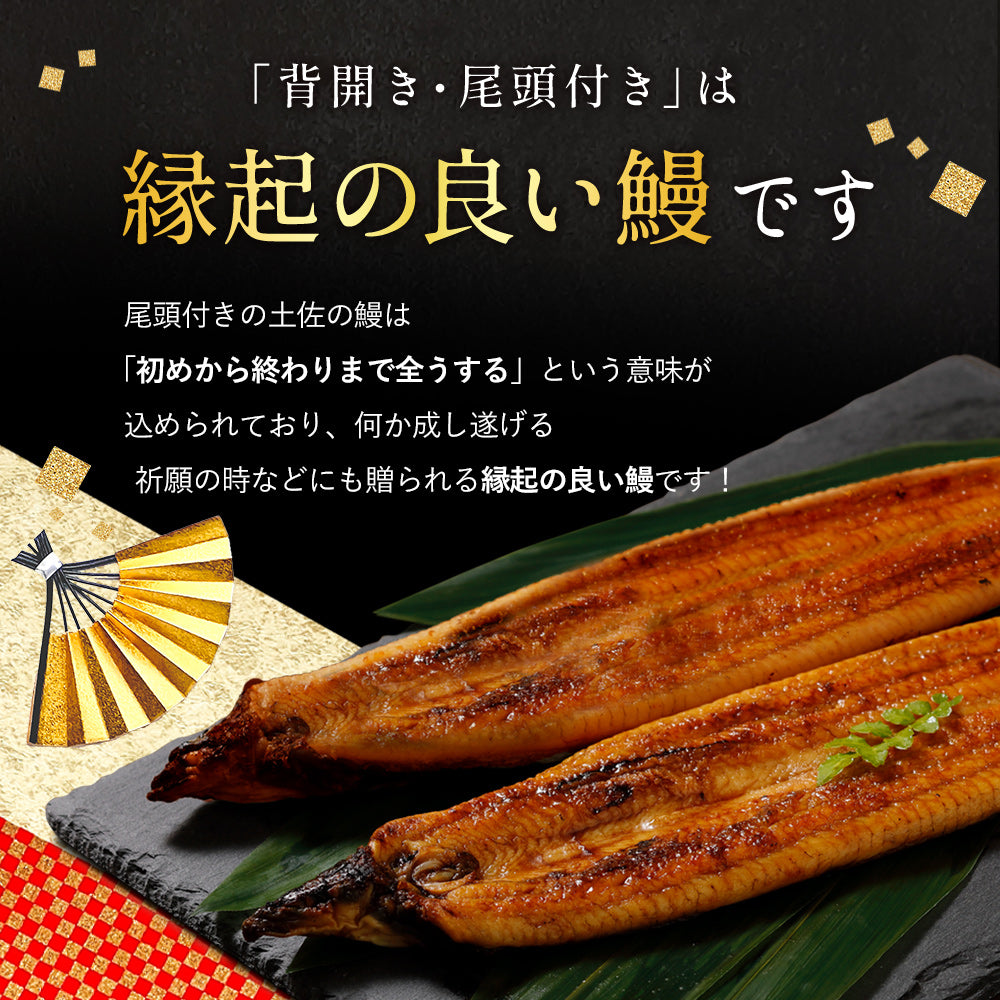 四万十川産 うなぎ蒲焼き 4尾 無投薬 国産 四万十鰻