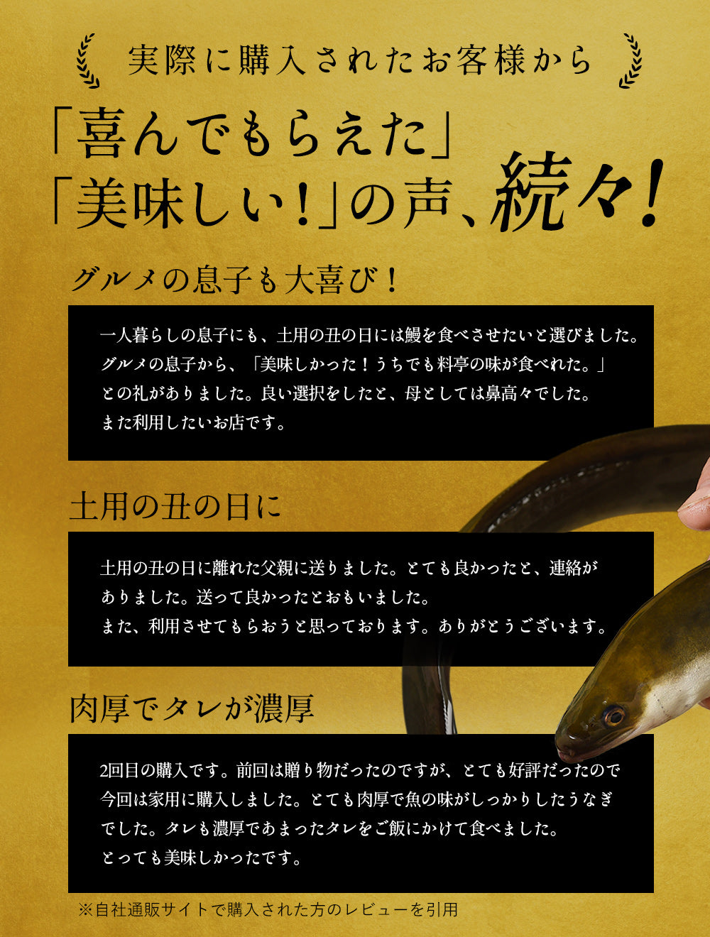 四万十川産 うなぎ蒲焼き 4尾 無投薬 国産 四万十鰻