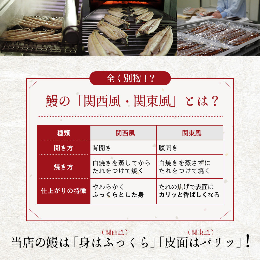 四万十川産 うなぎ蒲焼き 4尾 無投薬 国産 四万十鰻