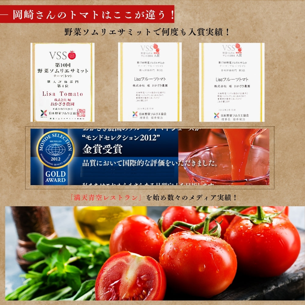 高知県春野産 高濃度 フルーツトマト 約1kg ギフト用