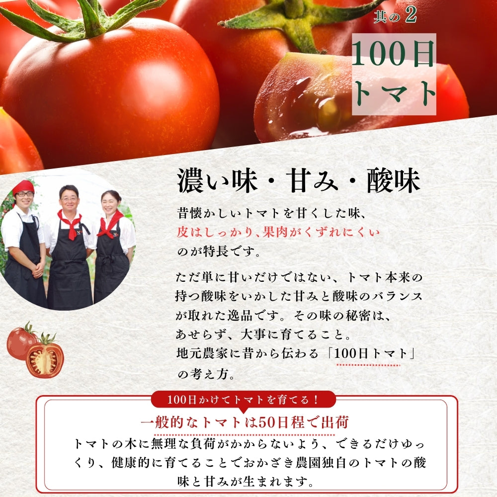 高知県春野産 高濃度 フルーツトマト 約1kg ギフト用