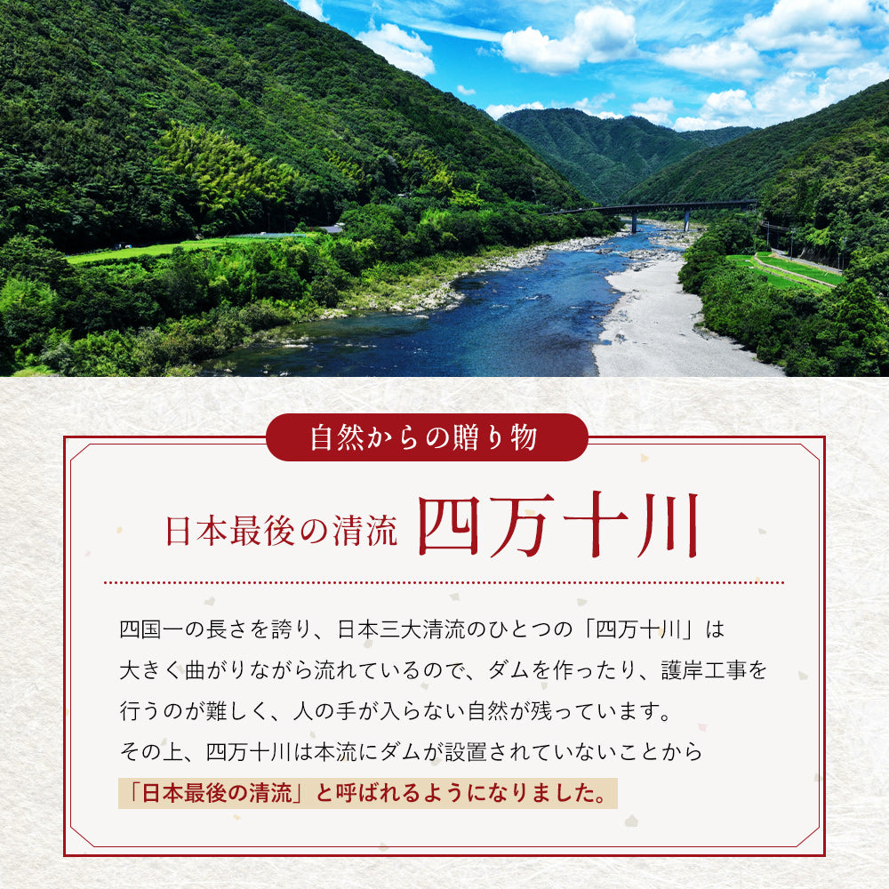 高知県産 うなぎ 四万十川×仁淀川 食べ比べセット無投薬  各1本
