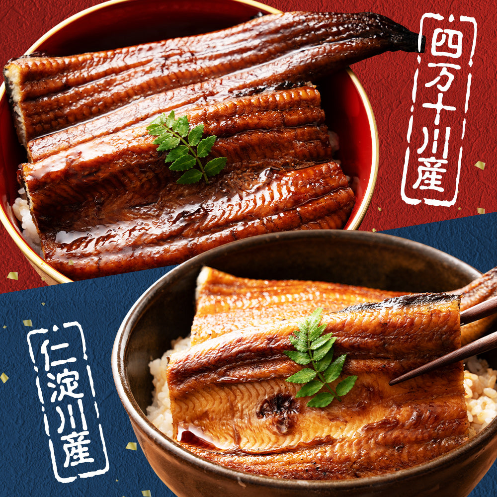 高知県産 うなぎ 四万十川×仁淀川 食べ比べセット無投薬  各1本