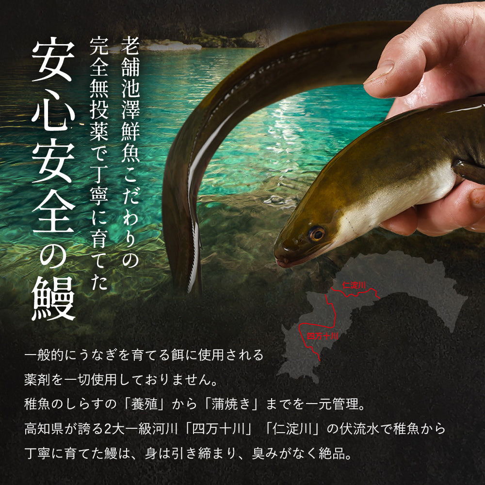 高知県産 うなぎ 四万十川×仁淀川 食べ比べセット無投薬  各1本