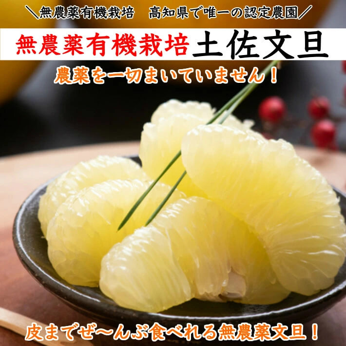 農薬を使用しない 土佐文旦 有機栽培 訳あり 無農薬 高知県産 2L-L