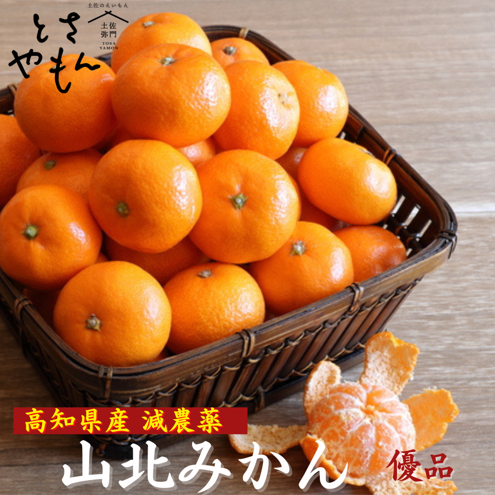 \11月発送予約/ 山北みかん 減農薬 優品 サイズ混合