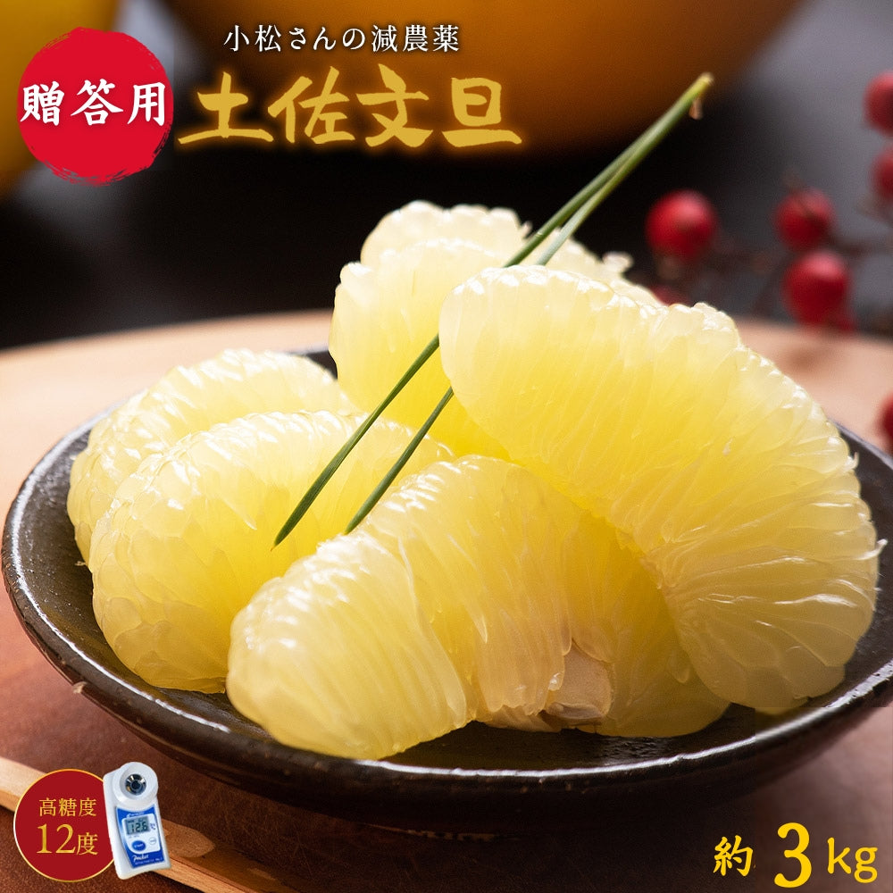 小松さんの減農薬 土佐文旦 約3kg 贈答用
