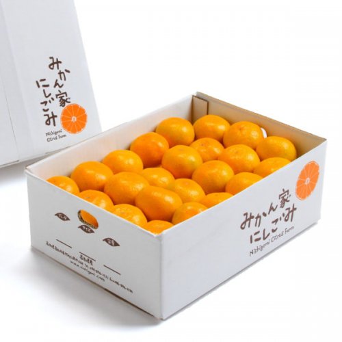 高知県産 減農薬 温州みかん 傷有 3kg 石灰質の土壌で育てた蜜柑