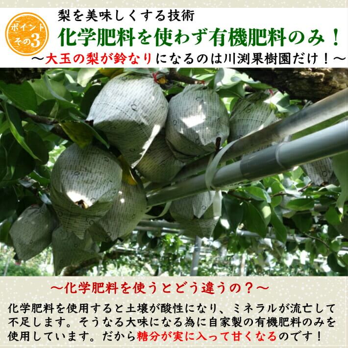 有機肥料栽培