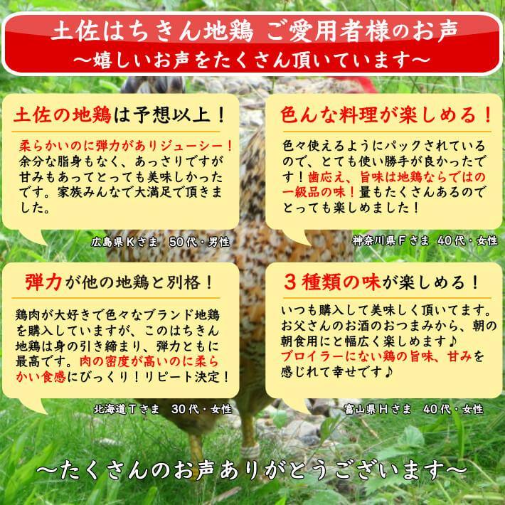 土佐はちきん地鶏 ローストチキン 3種セット 約1.2kg - 池澤鮮魚オンラインショップ
