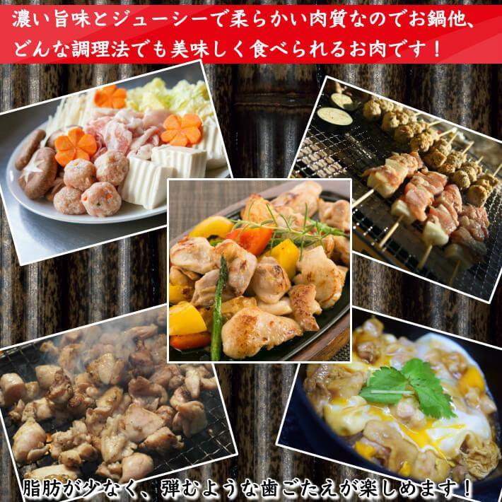 土佐はちきん地鶏 鉄板焼きセットとローストチキン 3種セット 約1.6kg - 池澤鮮魚オンラインショップ