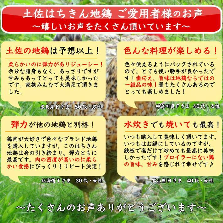 土佐はちきん地鶏 鉄板焼きセットとローストチキン 3種セット 約1.6kg - 池澤鮮魚オンラインショップ