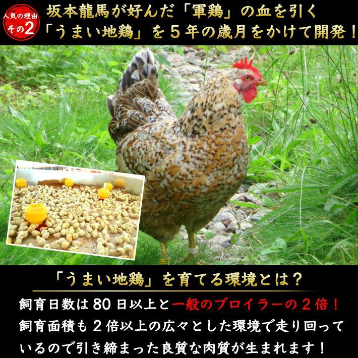 土佐はちきん地鶏 鉄板焼きセットとローストチキン 3種セット 約1.6kg - 池澤鮮魚オンラインショップ