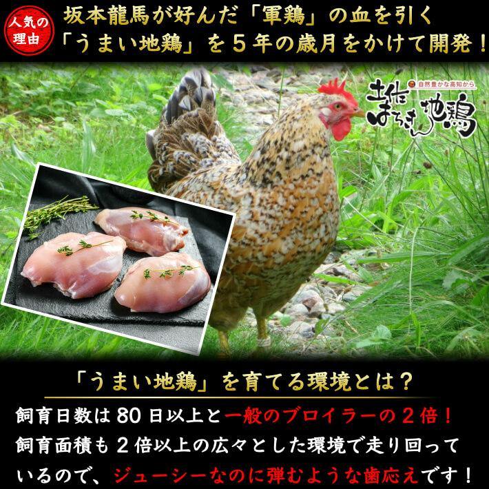 土佐の地産肉 藁焼きロースト堪能セット 3種 約1kg 送料無料 - 池澤鮮魚オンラインショップ