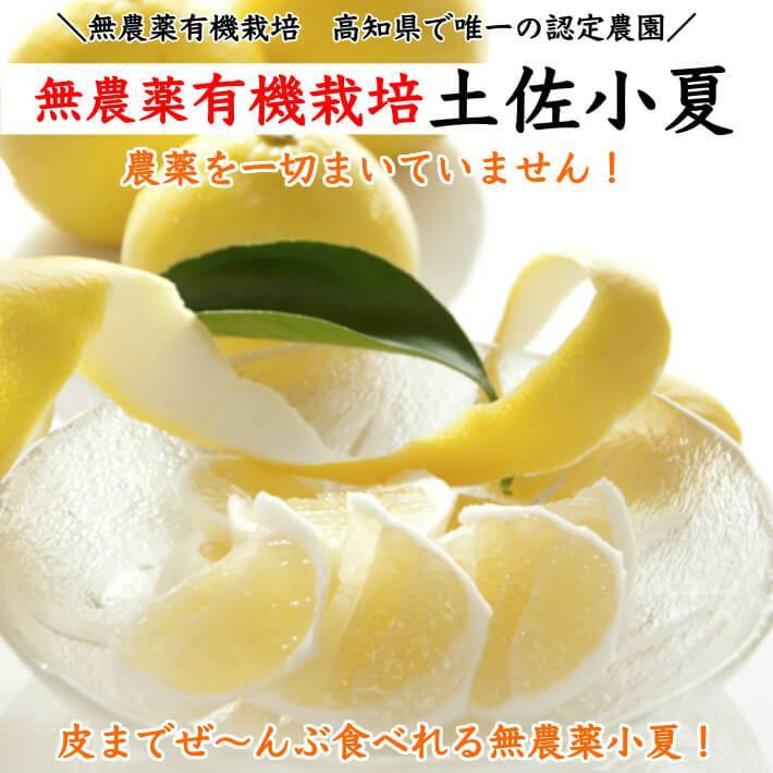 無農薬 土佐小夏 有機肥料 家庭用 5kg 高知県産 送料無料 - 池澤鮮魚オンラインショップ
