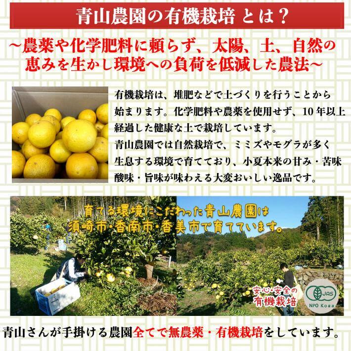 無農薬 土佐小夏 有機肥料 家庭用 5kg 高知県産 送料無料 - 池澤鮮魚オンラインショップ
