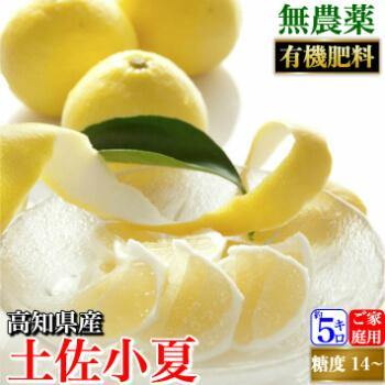 無農薬 土佐小夏 有機肥料 家庭用 5kg 高知県産 送料無料 - 池澤鮮魚オンラインショップ