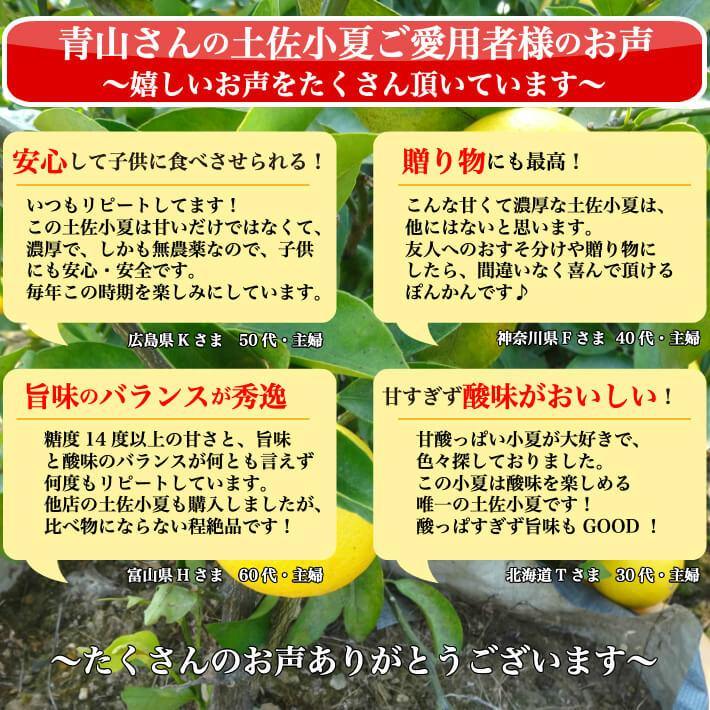 無農薬 土佐小夏 有機肥料 家庭用 5kg 高知県産 送料無料 - 池澤鮮魚オンラインショップ