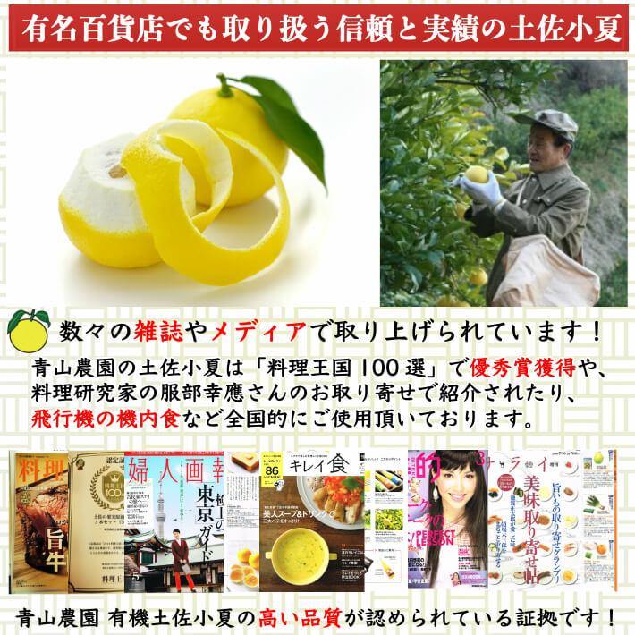 無農薬 土佐小夏 有機肥料 家庭用 5kg 高知県産 送料無料 - 池澤鮮魚オンラインショップ