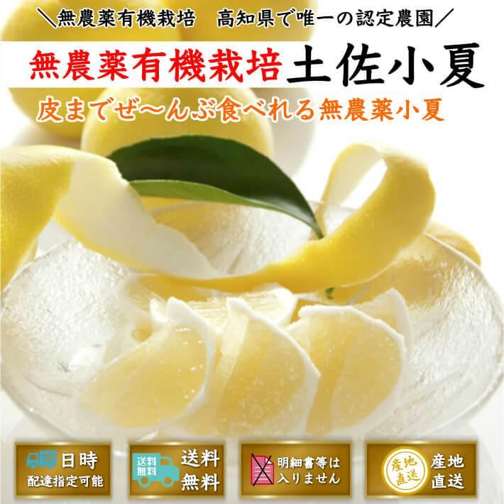 無農薬 土佐小夏 有機肥料 家庭用 5kg 高知県産 送料無料 - 池澤鮮魚オンラインショップ
