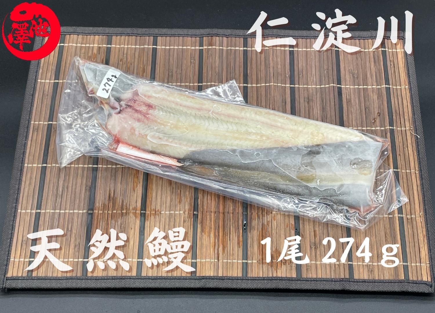 天然うなぎ 仁淀川 【1尾 274ｇ】生冷凍 国産 高知県産 – 池澤鮮魚オンラインショップ