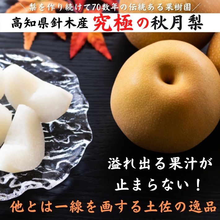 フルーティー秋月梨