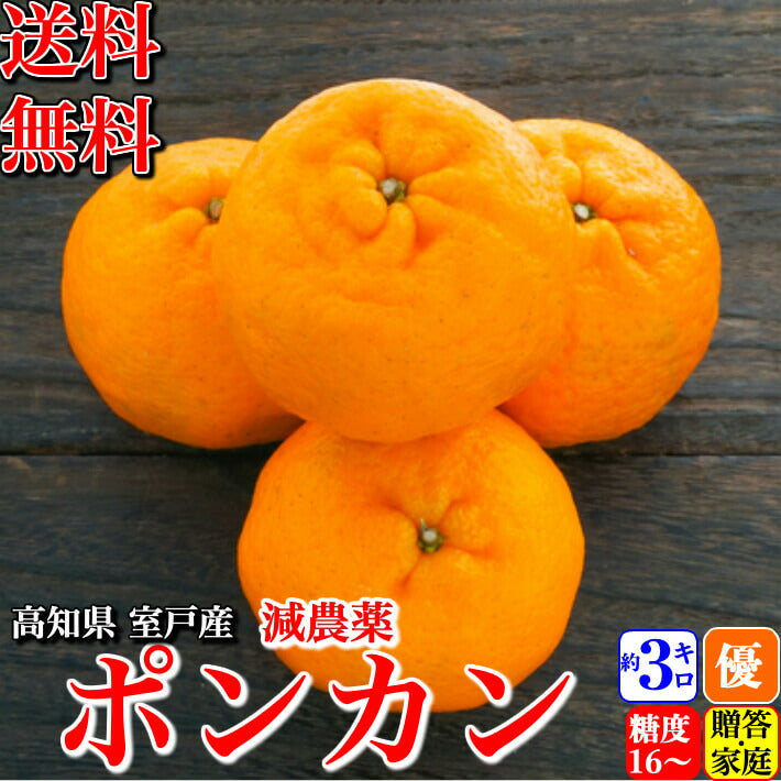 完熟ぽんかん