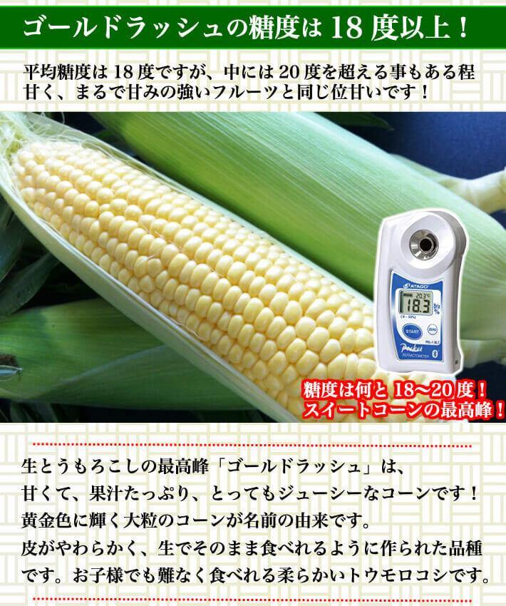 【残りわずか】 糖度18度 ゴールドラッシュ 生とうもろこし A等級 約4,5kg (11〜15本) 2Lサイズ 高知県南国産 秀品 朝採れ 当日発送 送料無料 - 池澤鮮魚オンラインショップ