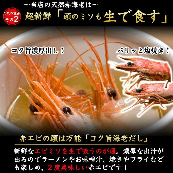 天然お刺身 赤海老 超特大1kg (15-18尾) - 池澤鮮魚オンラインショップ