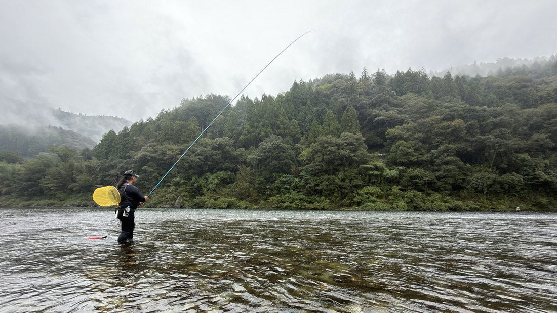 仁淀川の天然鮎 友釣りの現場へおいしさの理由を訪ねて