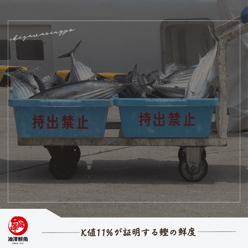 K値11%が証明する鰹の鮮度｜臭みゼロの科学的根拠を池澤鮮魚が解説