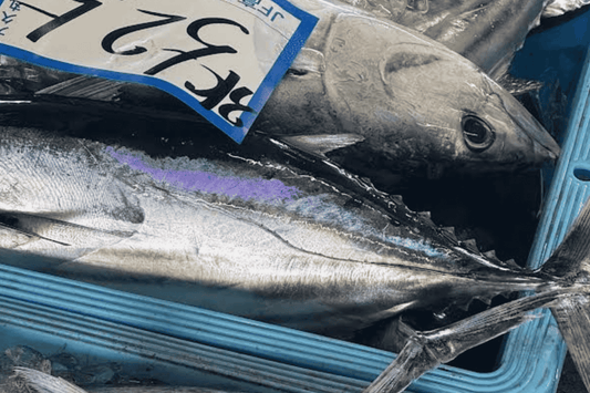 鰹のたたきの食べ方｜高知・四万十・中村の地域別スタイルを完全解説